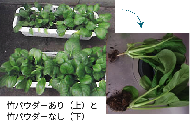 竹パウダーあり（上）と竹パウダーなし（下）