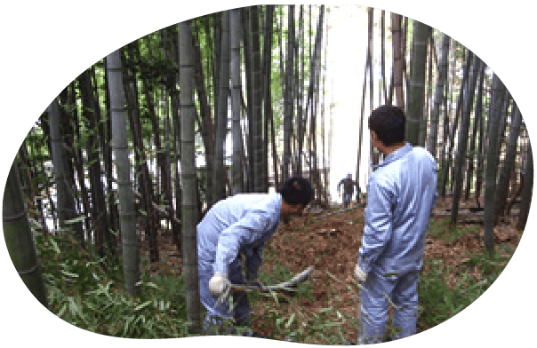 竹パウダーができるまで