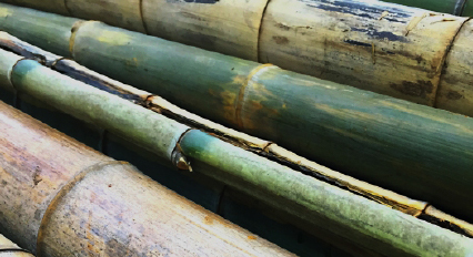 製造過程