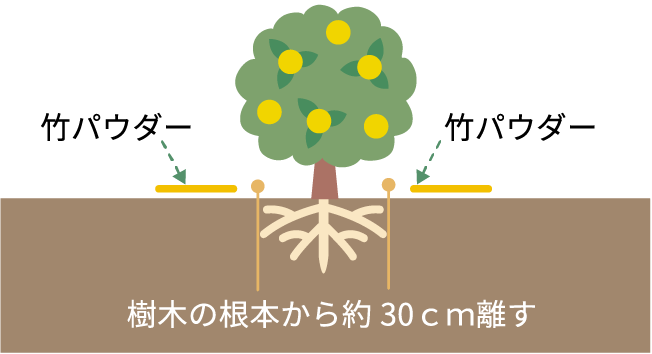 果樹栽培