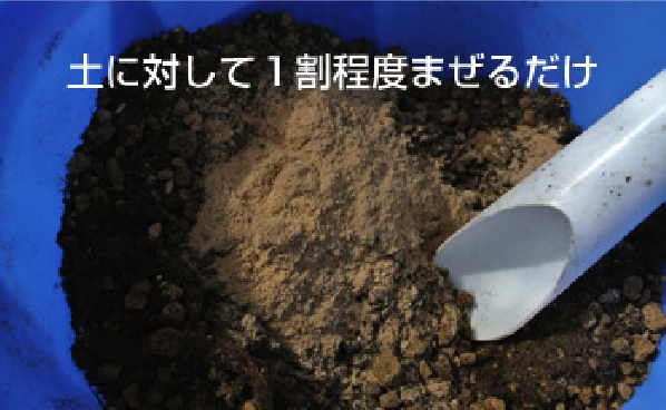 プランターや鉢で栽培