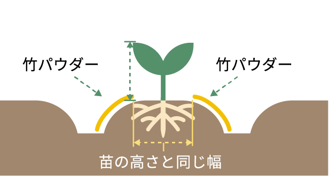 土にそのまま覆う場合